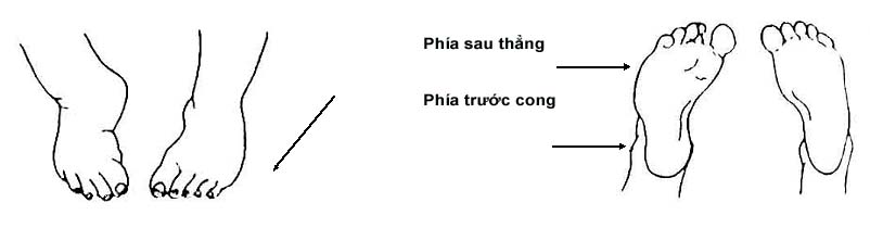ban chan khoeo 2